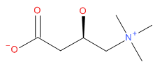 L-Carnitine chemical structure