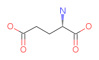 Glutamic acid chemical structure