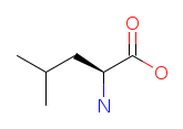 Leucine chemical structure