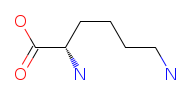Lysine chemical structure
