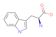 Tryptophan chemical structure