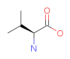 Valine chemical structure